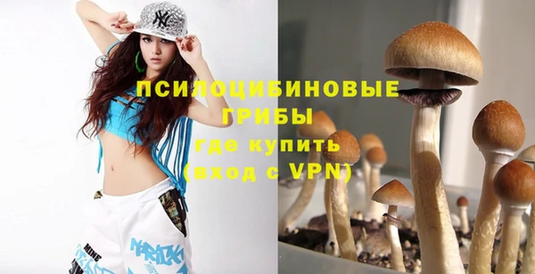 винт Нягань